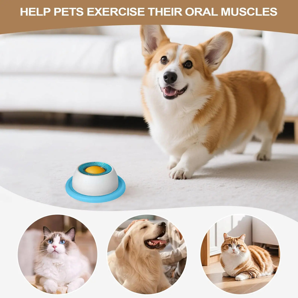 Interactive Pet Licking & Treat Puzzle Toy