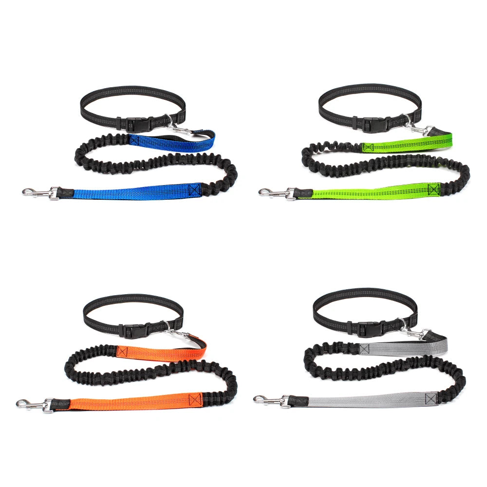 Hands-Free Adjustable Dog Leash for Walking & Running