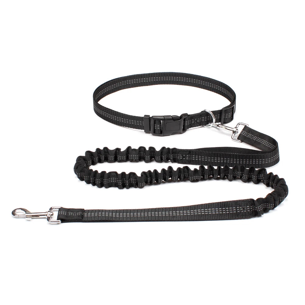 Hands-Free Adjustable Dog Leash for Walking & Running