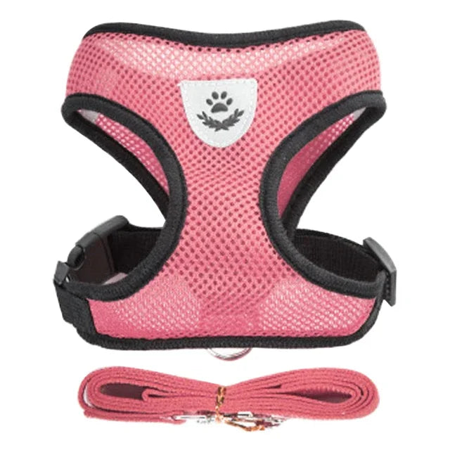 Tuig- en Riemset voor Hond en Kat