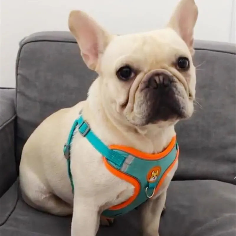 Reflective No-Pull Dog Harness