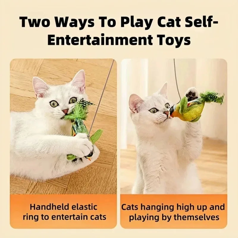 Kattenspeeltje