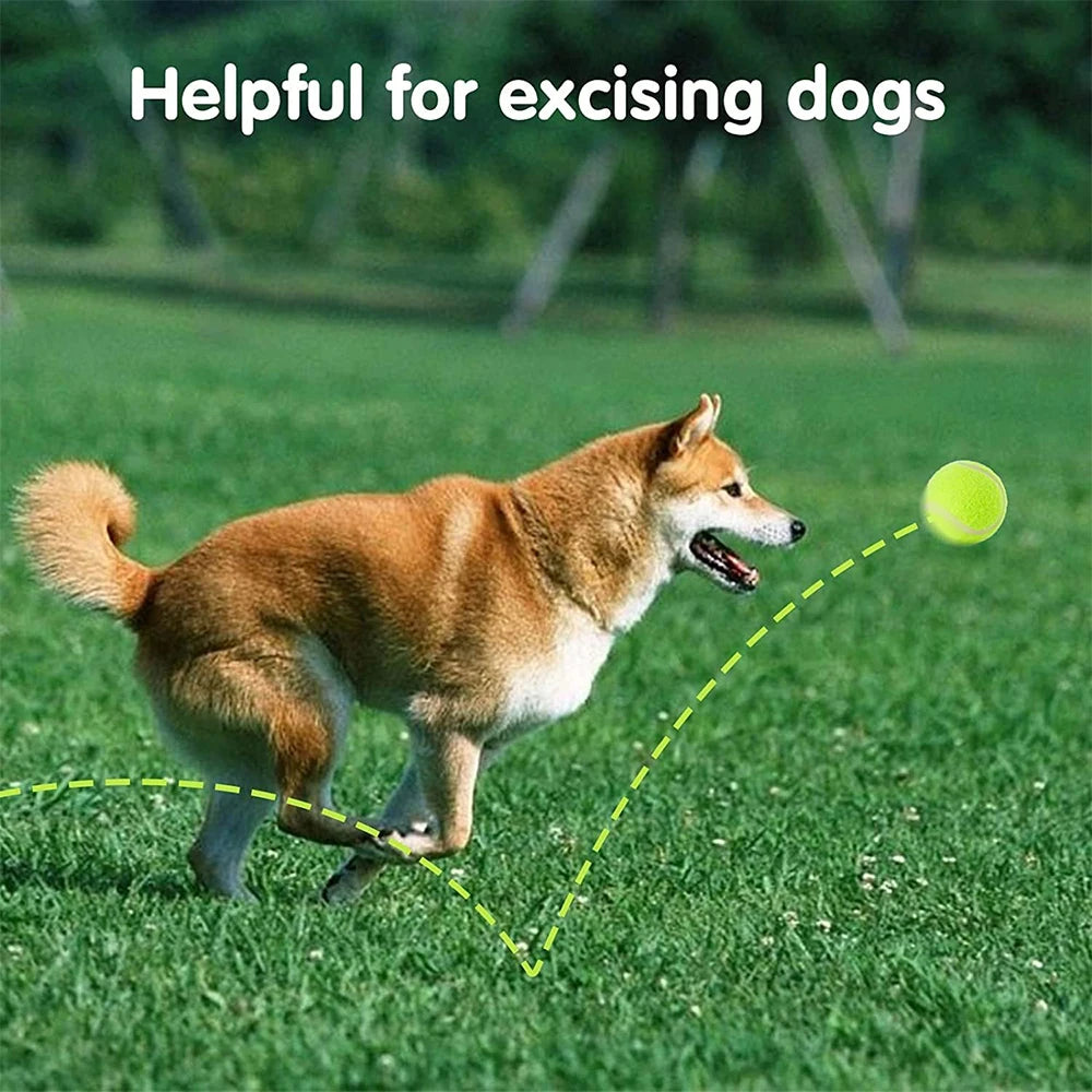 6-Piece Dog Tennis Ball Set