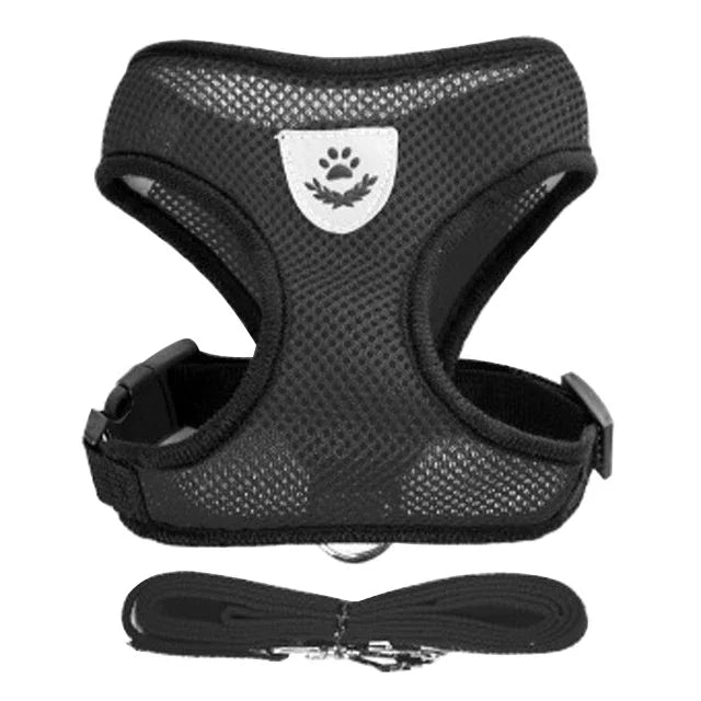 Tuig- en Riemset voor Hond en Kat