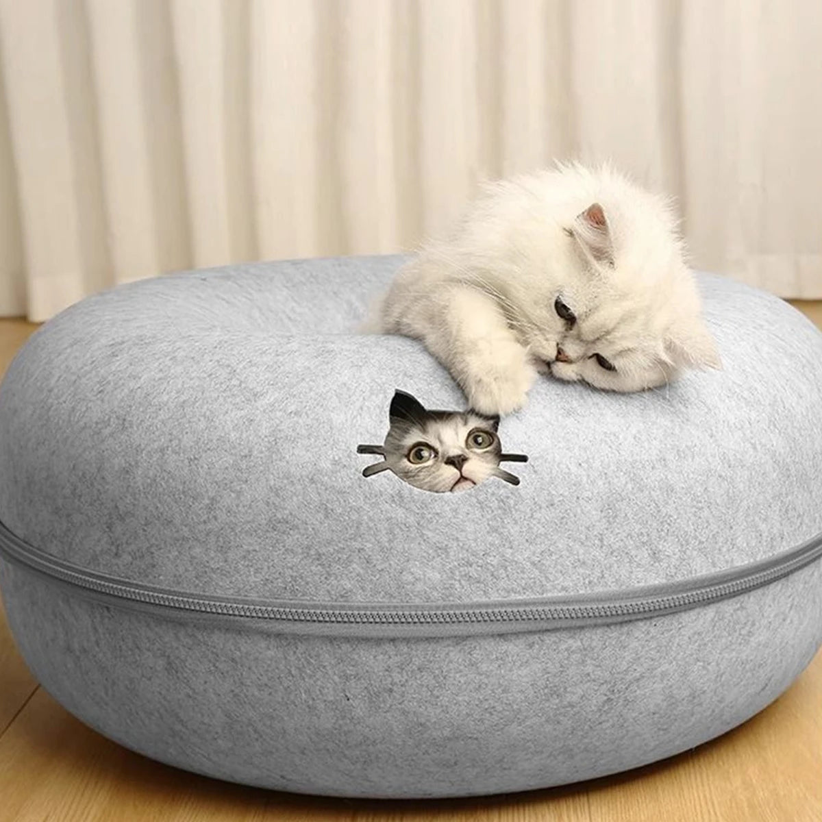 cat bed