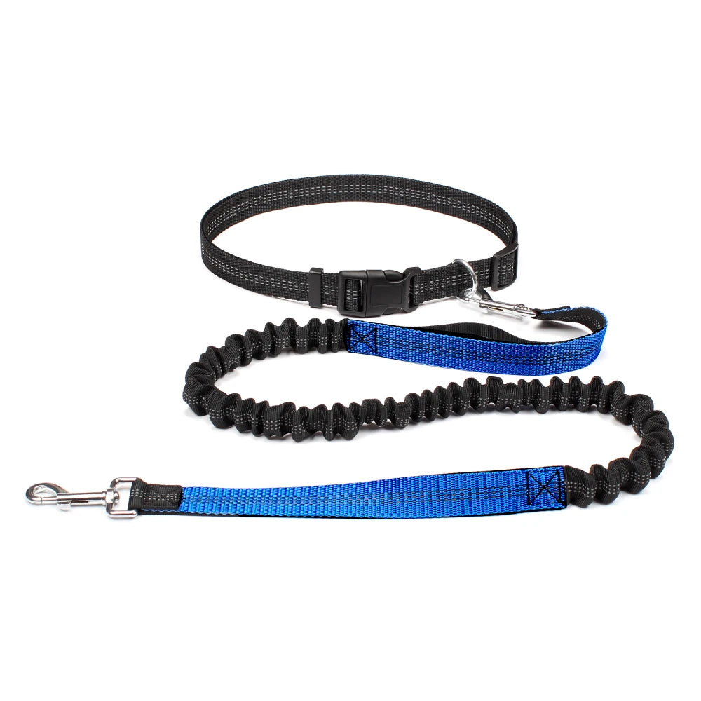 Hands-Free Adjustable Dog Leash for Walking & Running