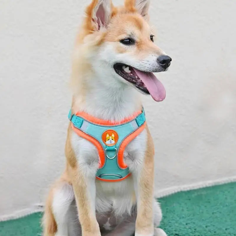 Reflective No-Pull Dog Harness